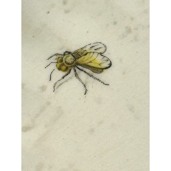 Copeland Spode Aesthetic Movement c. 1870-1890 Chelsea Bird Insect 8 3/8" Plate - Picture 3 of 7